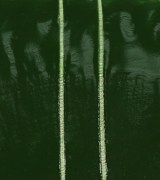 Ангобная глазурь зеленая, S-0655-10
